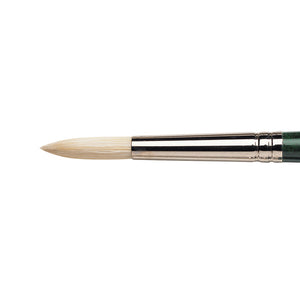 Winsor & Newton Winton Hog Oil Round Brush — Size 6