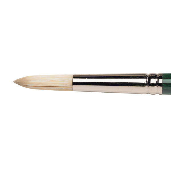 Winsor & Newton Winton Hog Oil Round Brush — Size 12