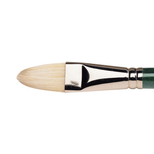 Winsor & Newton Winton Hog Oil Filbert Brush — Size 12