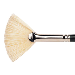 Winsor & Newton Winton Hog Oil Fan Brush — Size 1