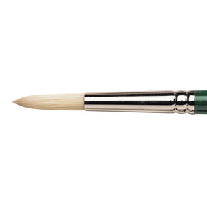 Winsor & Newton Winton Hog Oil Round Brush — Size 8