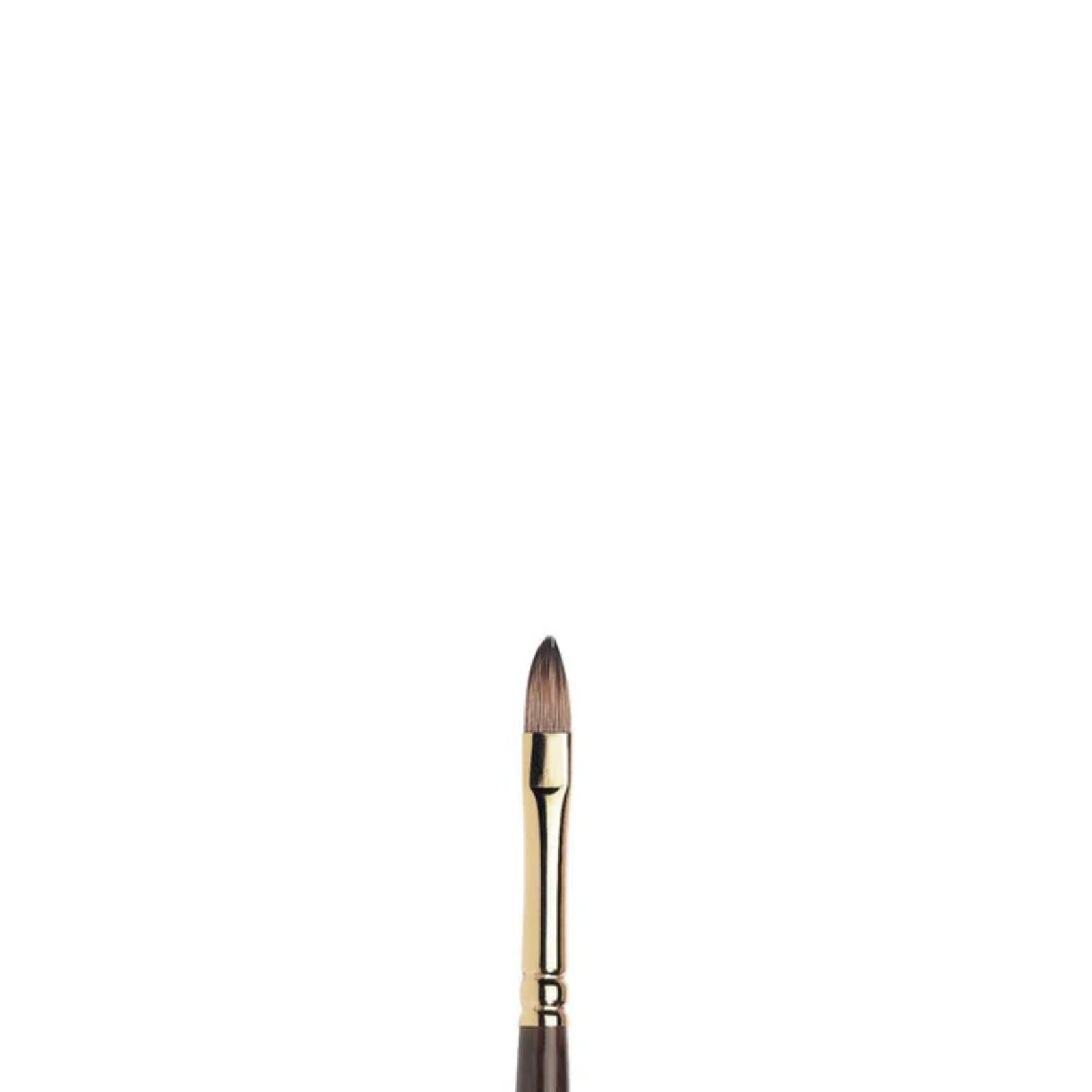Winsor & Newton Monarch Oil Short Filbert Brush — Size 4