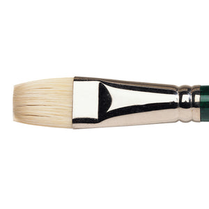 Winsor & Newton Winton Hog Oil Bright Brush — Size 12