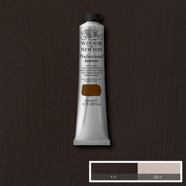 Winsor & Newton Professional Acrylic 200ml — Burnt Umber