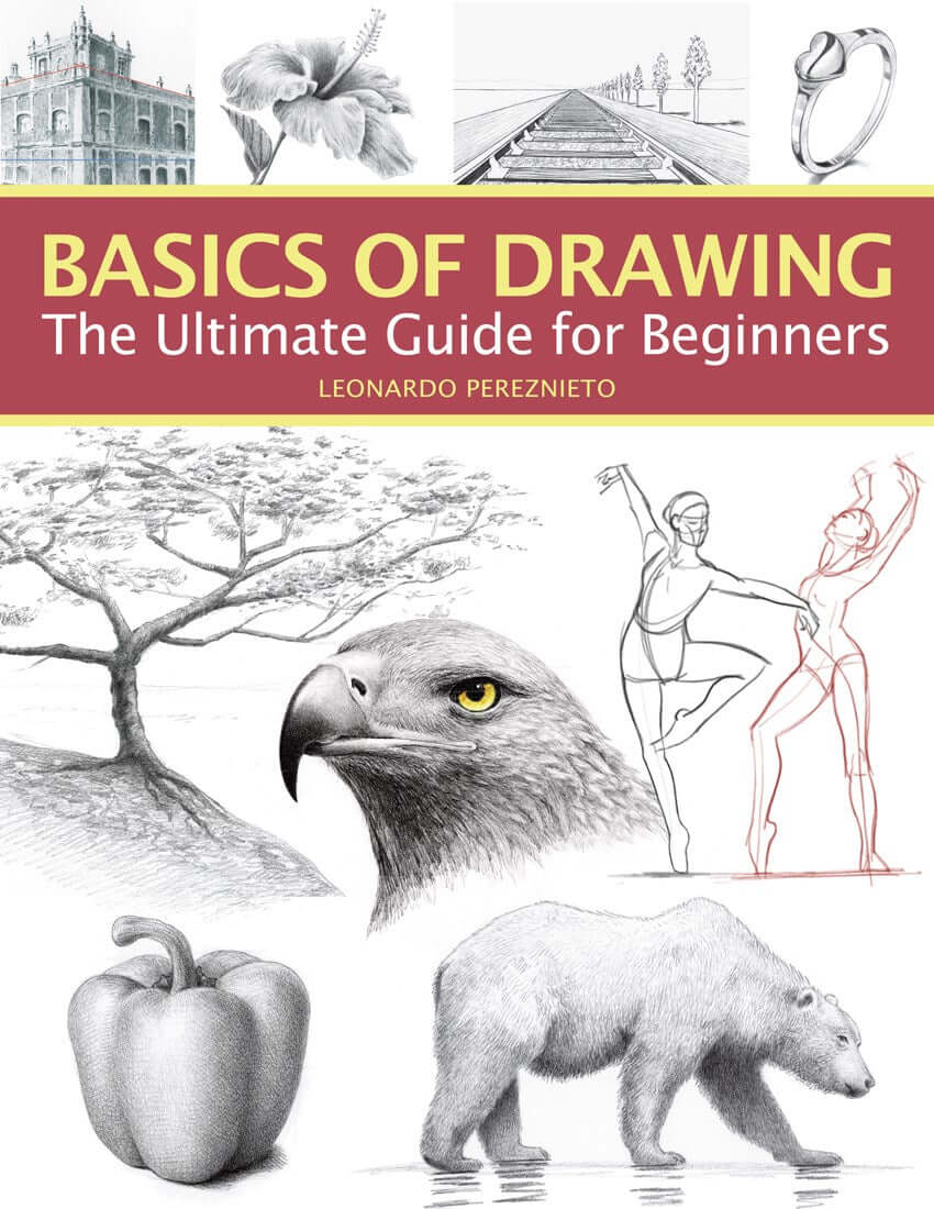 Cover of Basics of Drawing : The Ultimate Guide for Beginners by Leonardo Pereznieto, an art book available from GMC at BradburyART, perfect for artists and creatives.