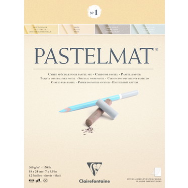 Clairefontaine Assorted Pastelmat Pad No1, 18x24cm, 360g, 12 Sheets