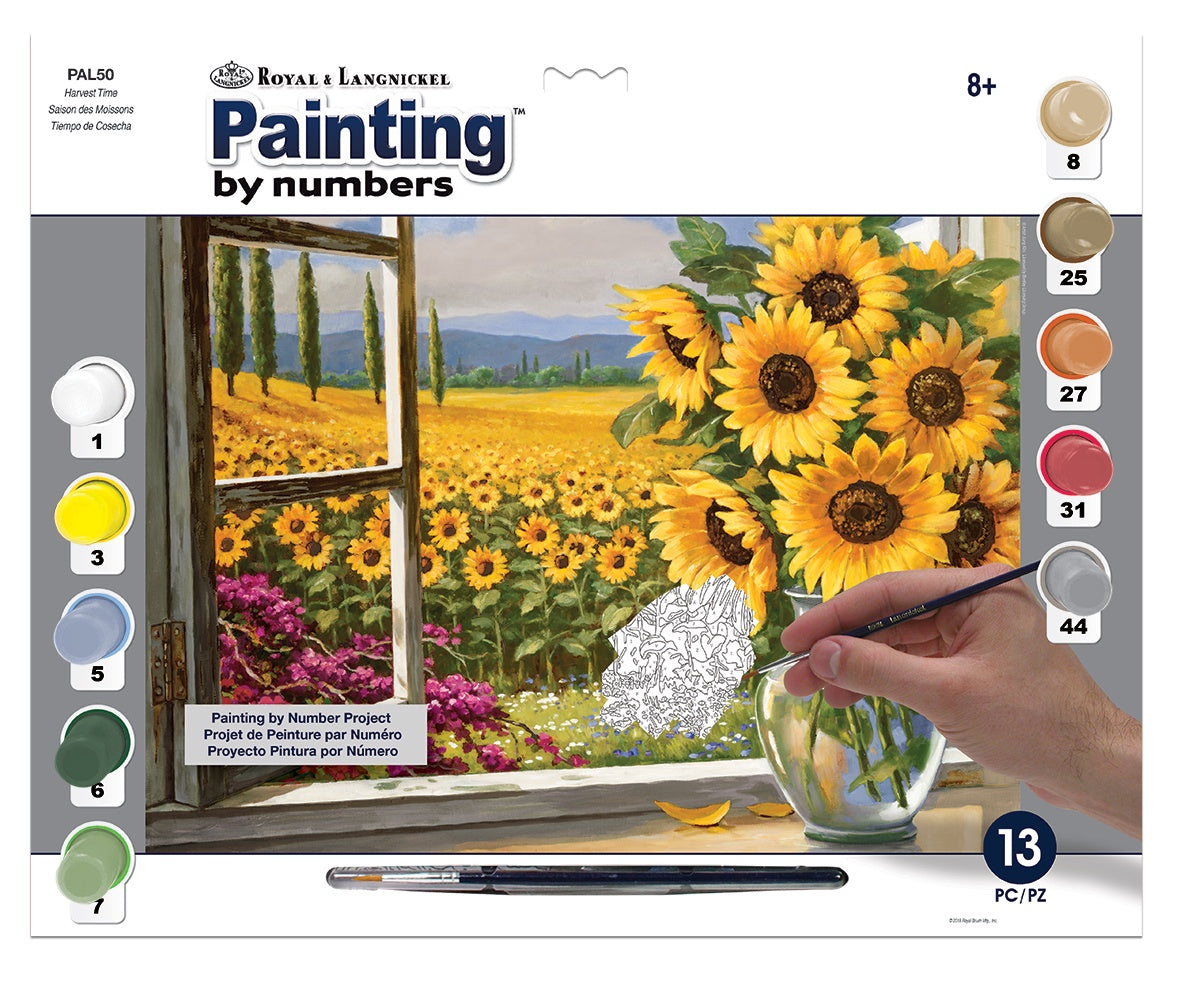Adult Paint by Numbers (Large)